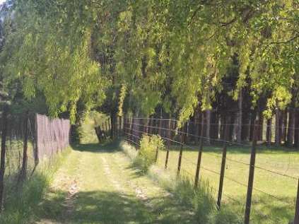 Maison Veynes - 4 chambres - 230m²