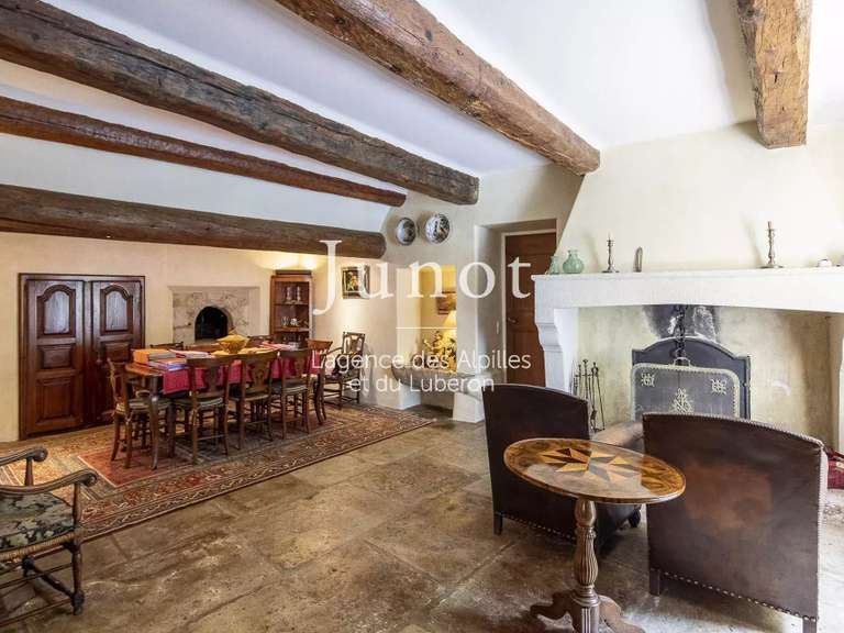House Saint-Rémy-de-Provence - 7 bedrooms - 485m²