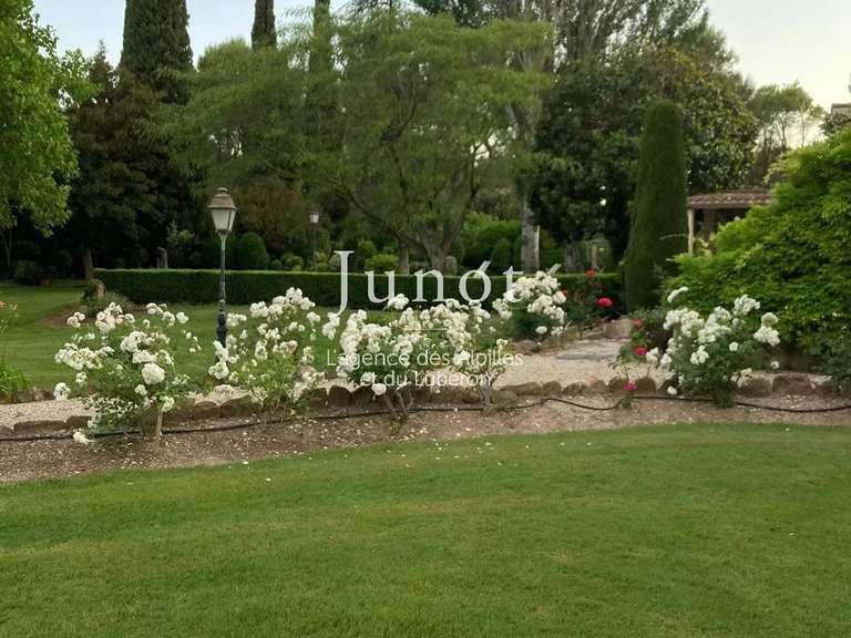 Maison Maussane-les-Alpilles - 5 chambres - 210m²