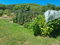 Vente maison 12 pièces
