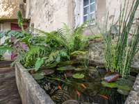 Vente maison 16 pièces Vente maison 16 pièces