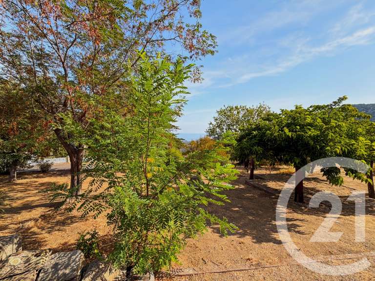 Maison avec Vue sur mer Santa-Reparata-di-Balagna - 4 chambres - 136m²