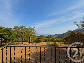 Vente maison 5 pièces Santa-Reparata-di-Balagna 2B