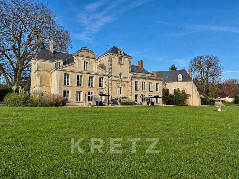 Château Chabris - 14 chambres - 936m²