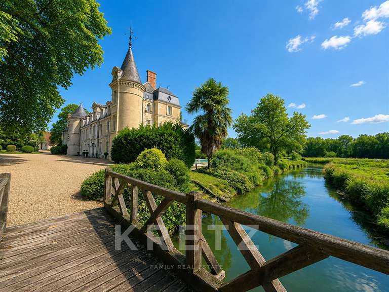 Château Chabris - 14 chambres - 936m²