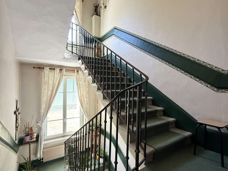Maison Neuville-sur-Ain - 7 chambres - 454m²