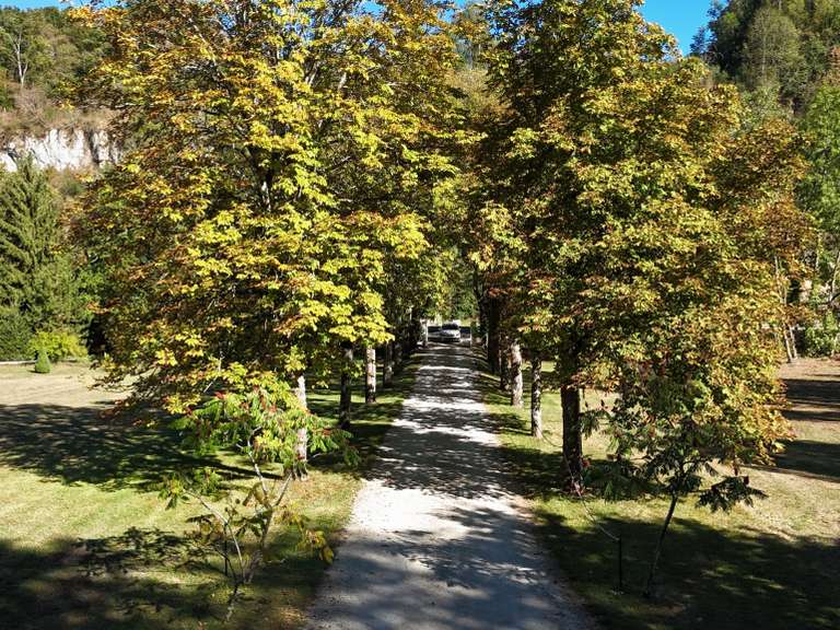 Maison Neuville-sur-Ain - 7 chambres - 454m²