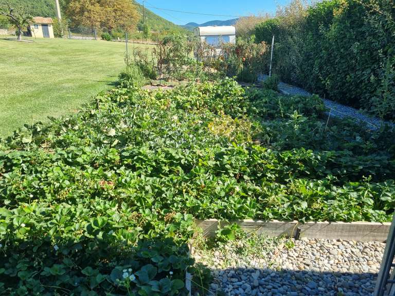 Maison Forcalquier - 3 chambres - 168m²