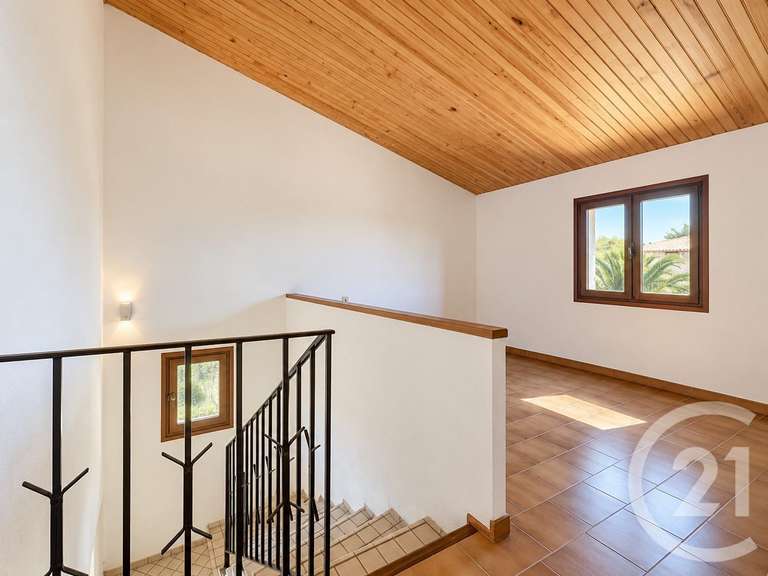 Maison Lecci - 5 chambres - 250m²