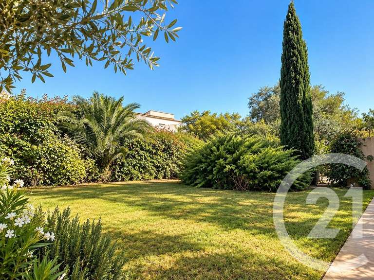 Maison Lecci - 5 chambres - 250m²
