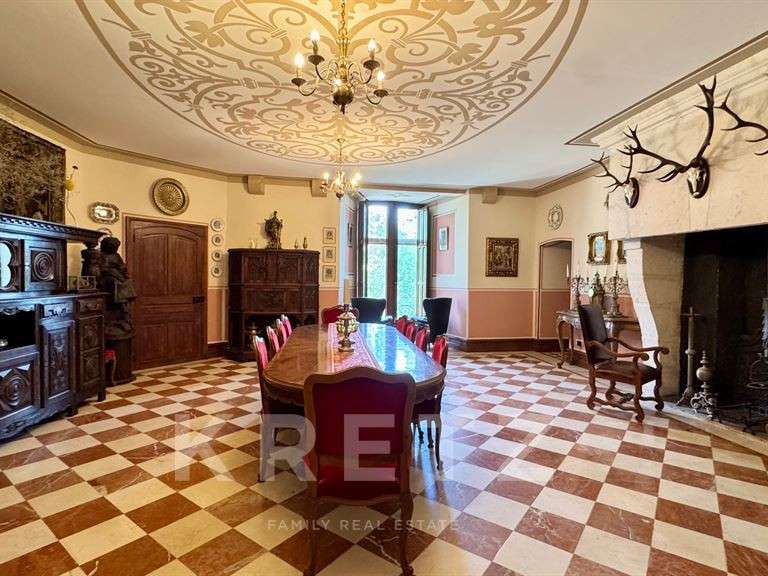 Castle Châteauroux - 7 bedrooms - 1460m²