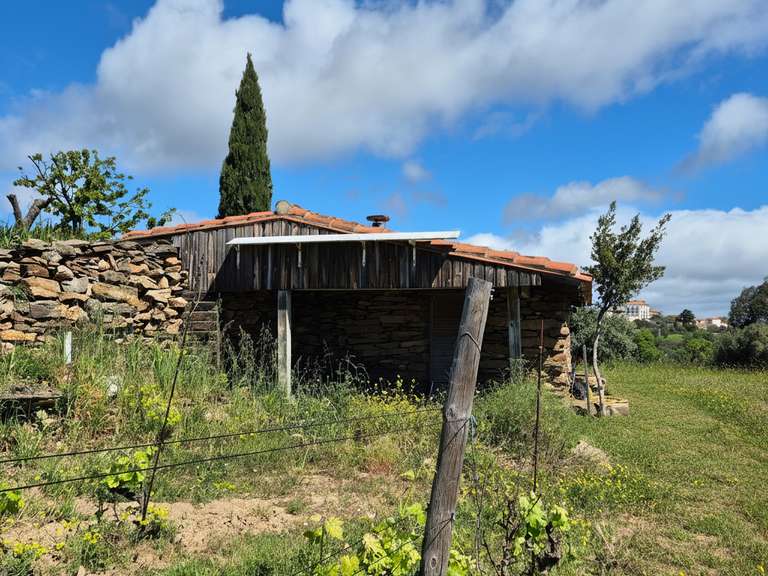 Domaine viticole Perpignan - 4 chambres - 251m²