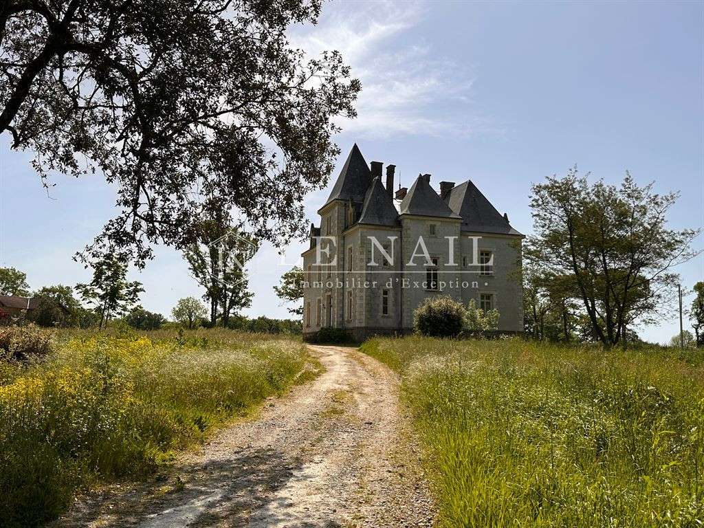 Castle Sainte-Hermine