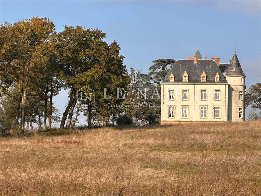 Castle Sainte-Hermine