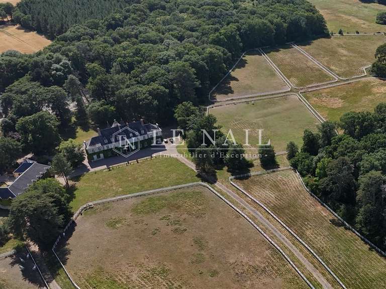 Château Airvault - 8 chambres - 600m²