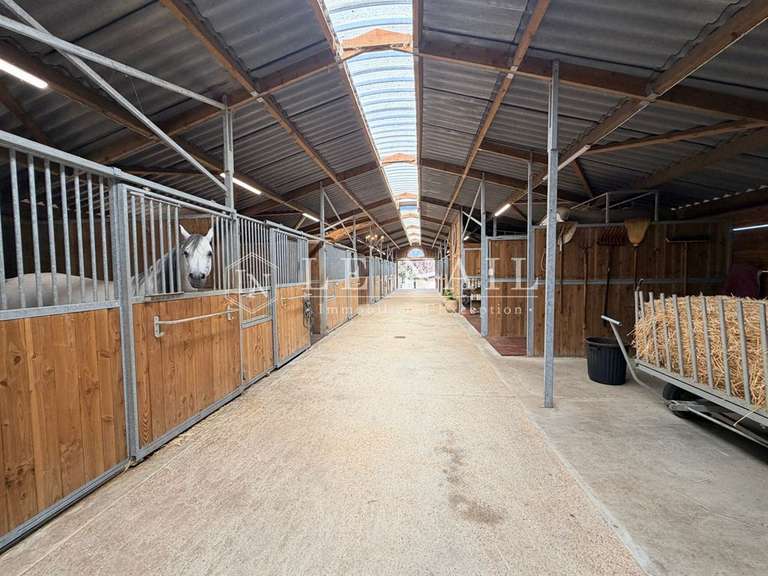 Château Airvault - 8 chambres - 600m²