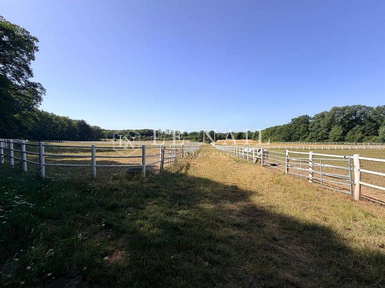 Château Airvault - 8 chambres - 600m²
