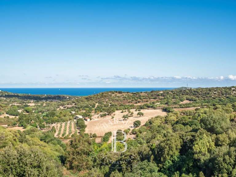 Villa L'Île-Rousse - 3 chambres - 180m²