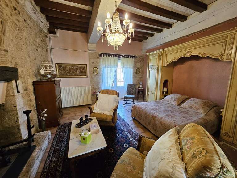 Castle Périgueux - 7 bedrooms - 350m²