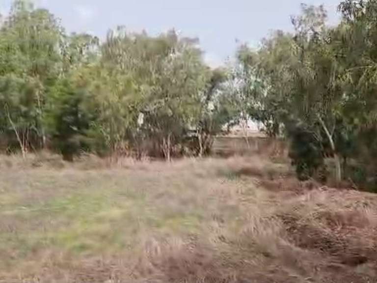 Land Nguérigne