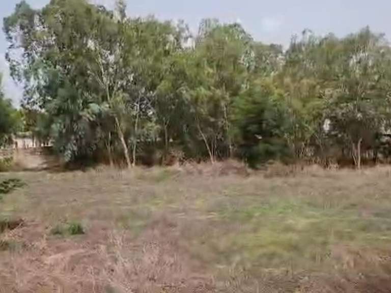 Land Nguérigne