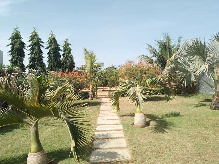 Villa Nguérigne - 3 bedrooms - 300m²