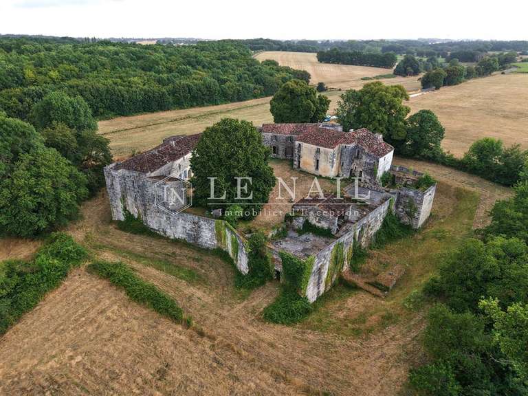 Château Saintes - 6 chambres - 700m²