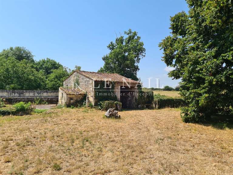 Château Saintes - 6 chambres - 700m²
