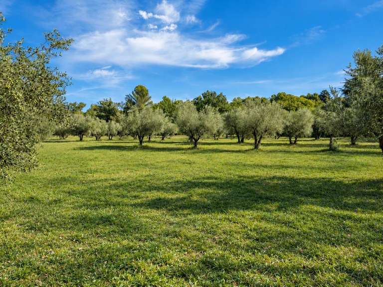 Property Aix-en-Provence - 4 bedrooms - 280m²