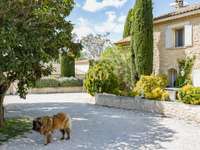 Vente maison 16 pièces Vente maison 16 pièces