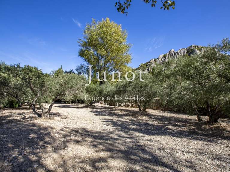 Maison Maussane-les-Alpilles - 2 chambres - 220m²
