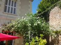 Vente maison Vente maison
