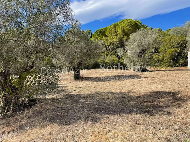 Terrain Mougins - 35233m²