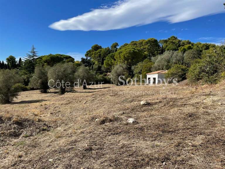 Terrain Mougins - 35233m²
