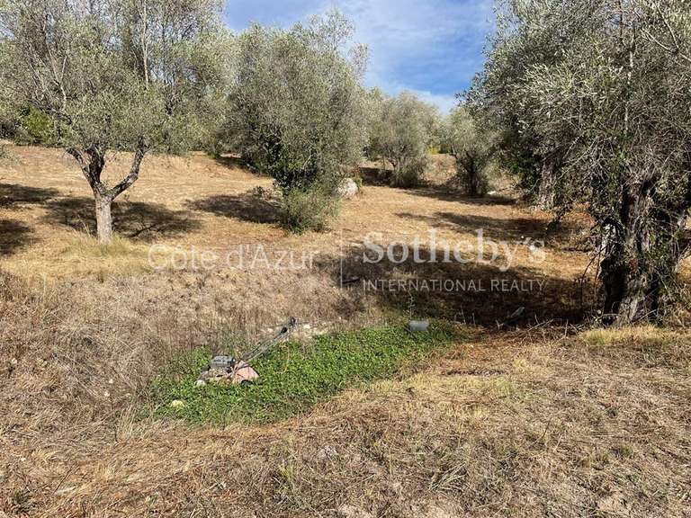 Terrain Mougins - 35233m²