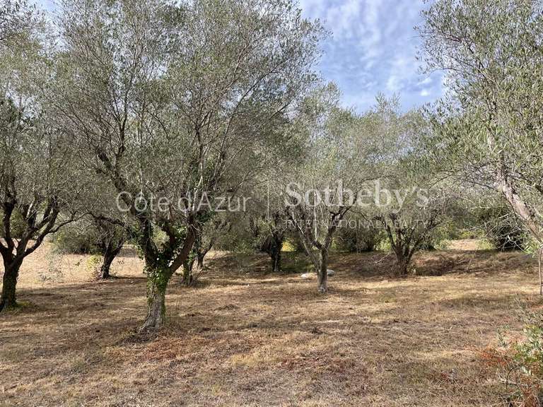 Terrain Mougins - 35233m²