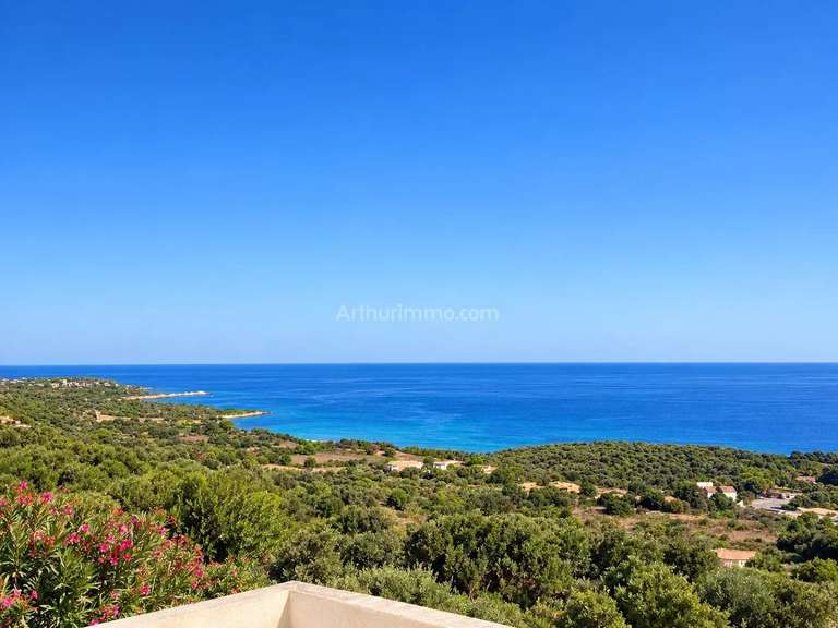 Villa avec Vue sur mer Corbara - 4 chambres - 170m²