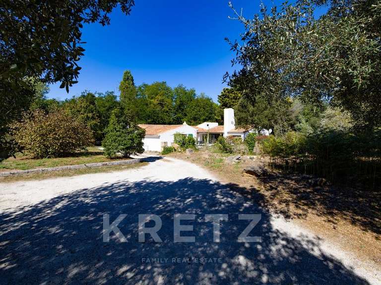 House Les Portes-en-Ré - 4 bedrooms - 200m²