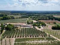 Vente maison 16 pièces