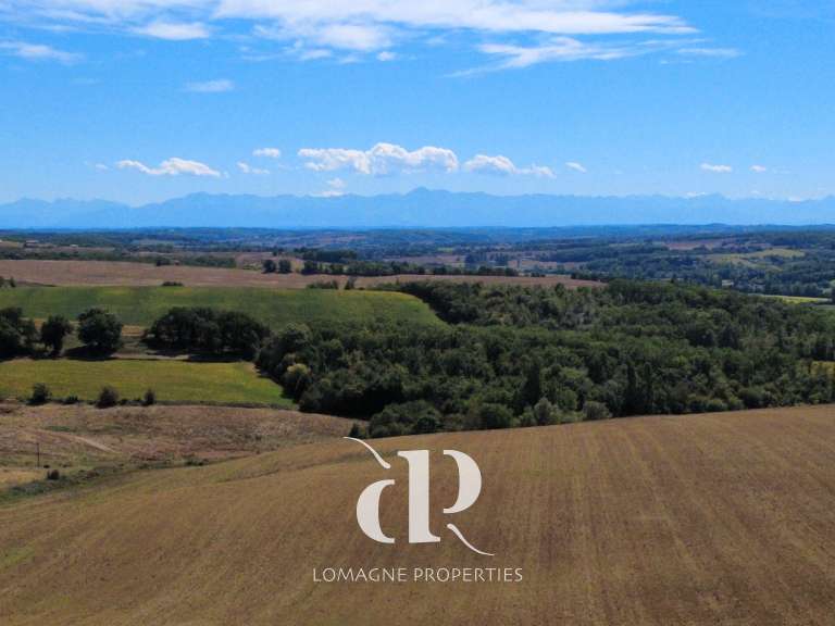 Maison Vic-Fezensac - 5 chambres - 360m²