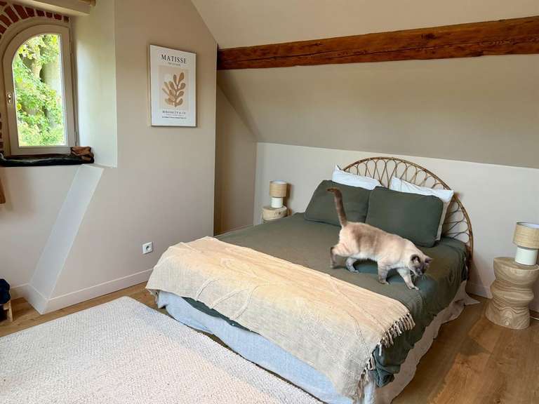 Maison Saint-Jean-du-Cardonnay - 4 chambres - 254m²