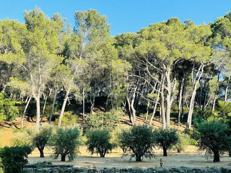 Maison Maussane-les-Alpilles - 4 chambres - 253m²