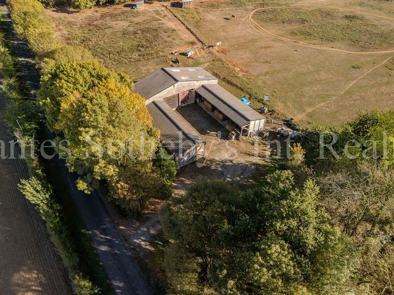 Propriété équestre Ligné - 4 chambres - 222m²