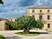 Vente maison 20 pièces Vente maison 20 pièces
