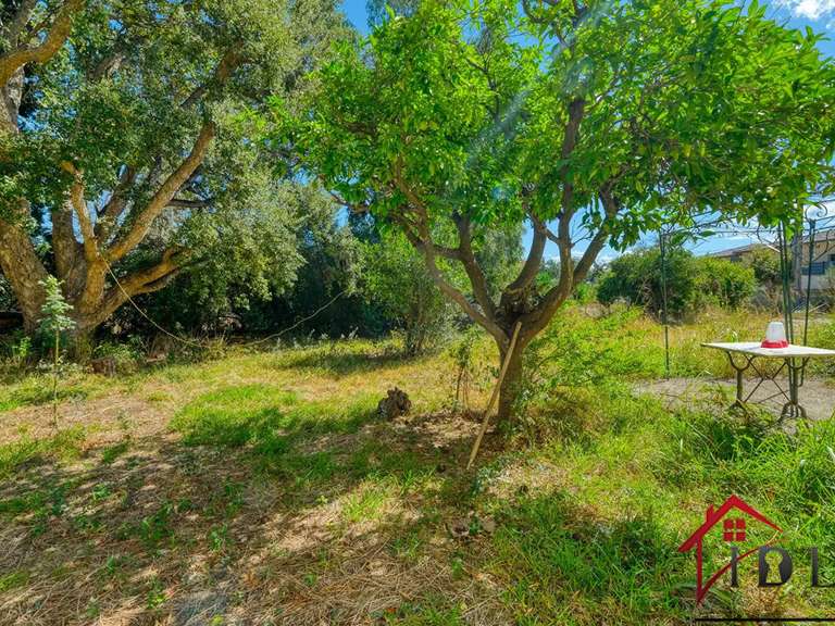 Villa Furiani - 1 chambre - 162m²