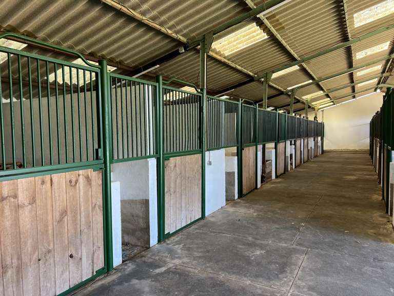 Equestrian property Mandelieu-la-Napoule - 5 bedrooms - 200m²