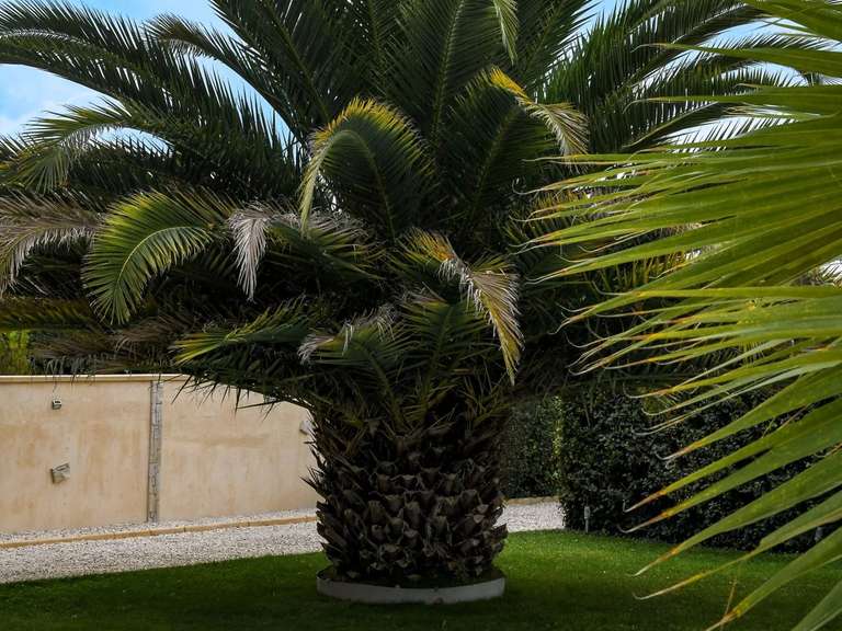 Maison Uzès - 4 chambres - 175m²