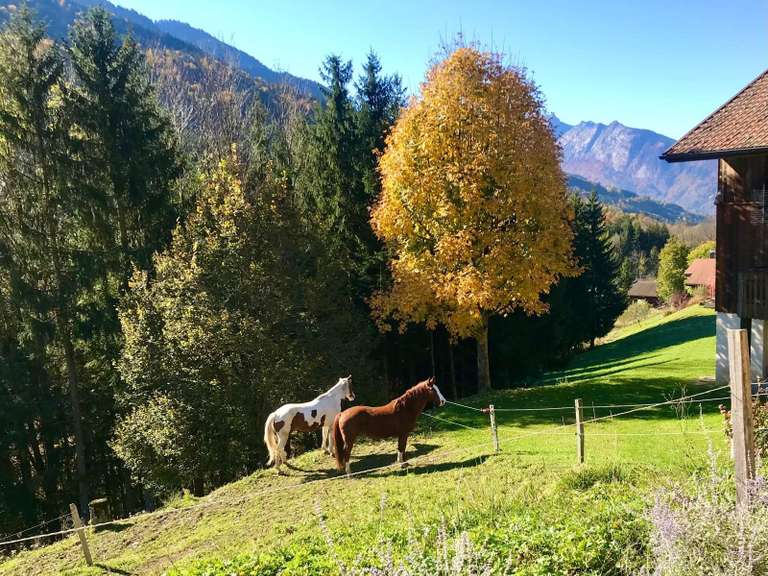 Maison La Clusaz - 279m²