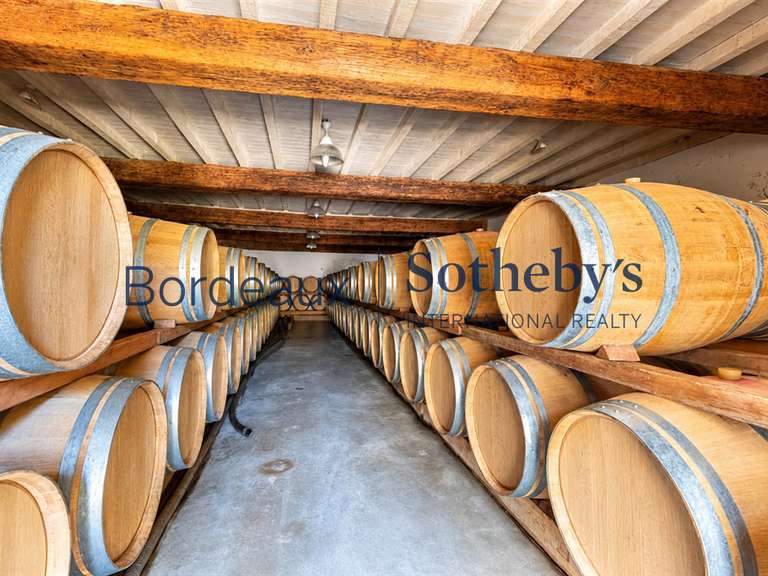 Vineyard Saint-Estèphe - 4 bedrooms - 430m²