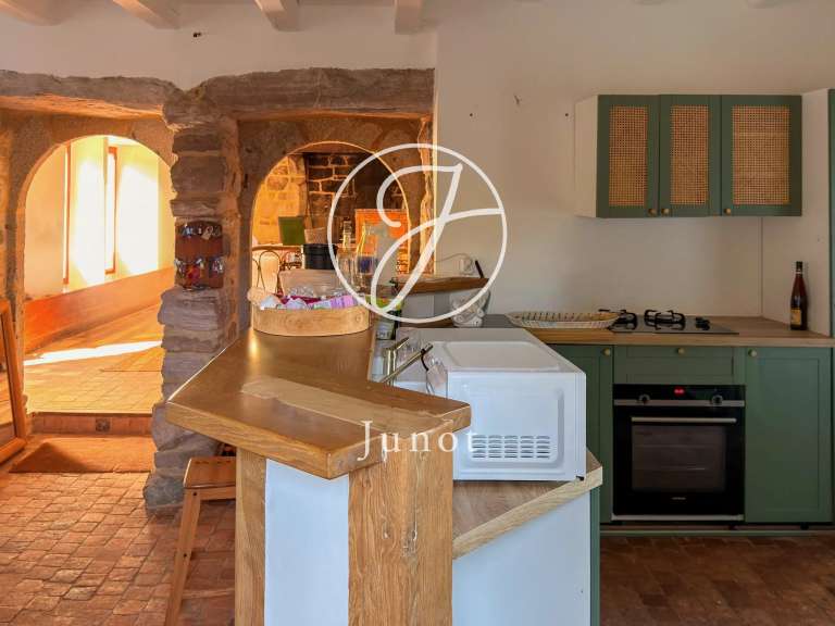 Manoir avec Vue sur mer Sables-d-or-les-pins - 15 chambres - 501m²